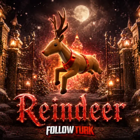 Reindeer