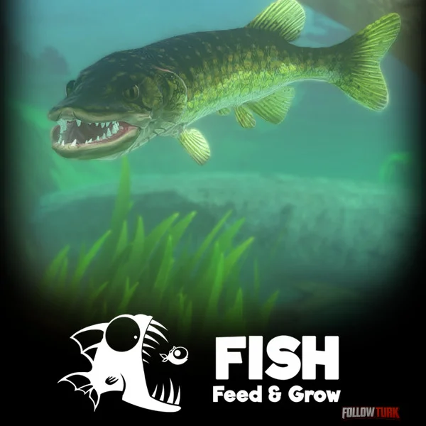 Feed and Grow: Fish - FollowTurk